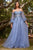 Detachable Off-the-shoulder Blouson Sleeves Tulle Evening Gown Divine CD962