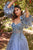 Detachable Off-the-shoulder Blouson Sleeves Tulle Evening Gown Divine CD962