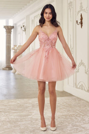 Lace A-Line Tulle Short Dress SF047