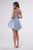 La Divine T738 Shimmer Fit-and-Flare Corset Mini Dress