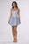 La Divine T738 Shimmer Fit-and-Flare Corset Mini Dress