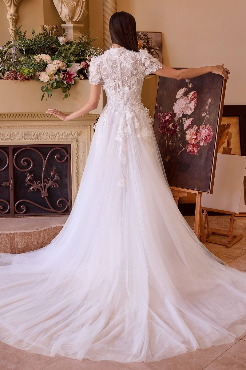 Two Looks in One Wedding Dress WL040 – Sparkly Gowns
