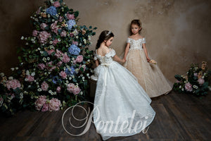 Exquisite Off-the- Shoulder adorned Neck Ball Gown Girl Celestial Dress 2302