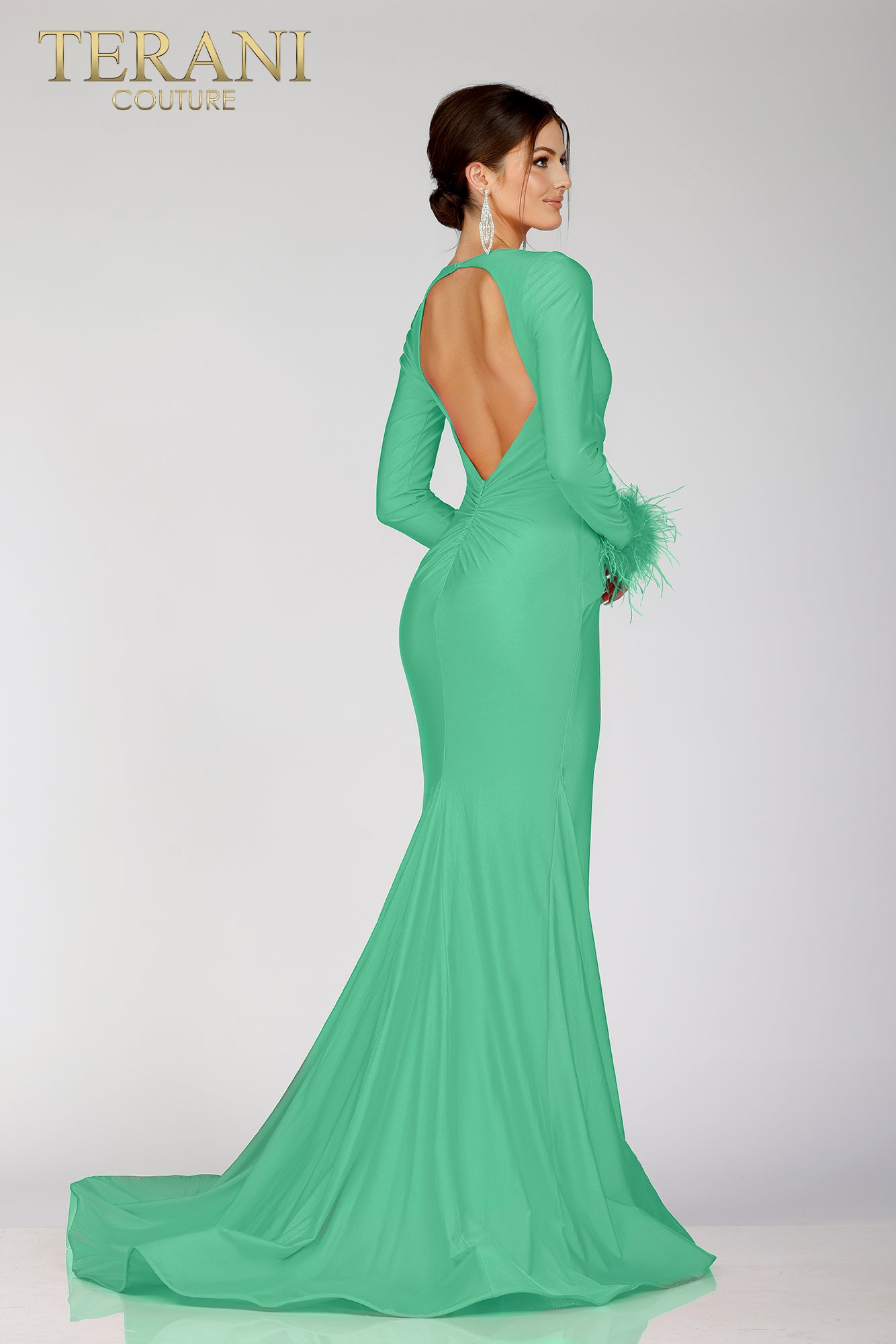Long Sleeves Embellished Backless Evening Gown 231P0074 10 / Mint (Green) Long Sleeves Embellished Backless Evening Gown 231P0074 10 / Mint (Green)