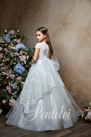 Pentelei 2339