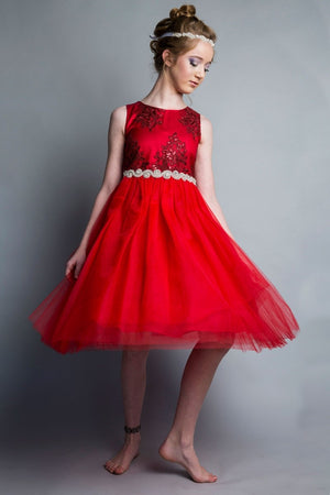 Embroider and Sequined Top and Tulle Skirt Girl Dress