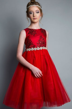 Embroider and Sequined Top and Tulle Skirt Girl Dress