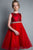 Satin Top Dress with Beaded Applique Tulle Skirt Girl Dress 266IV