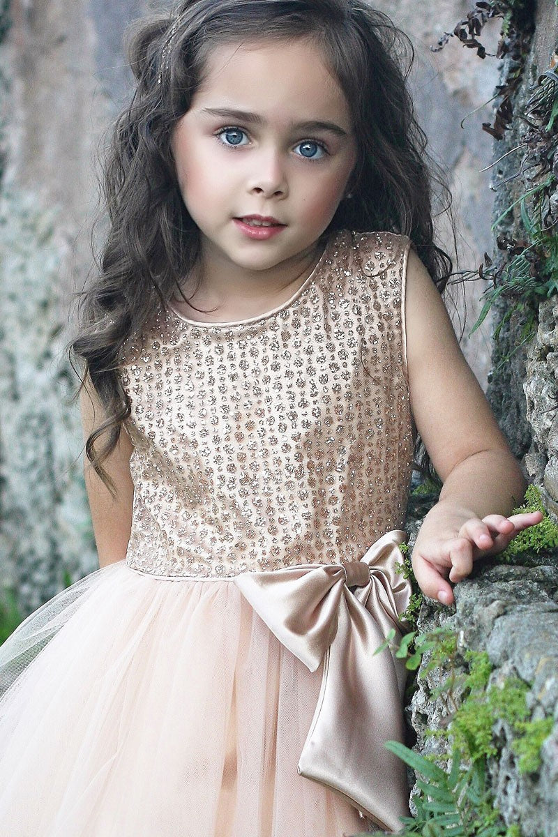 sequin top tulle dress Sparkle Pink Tulle A-Line Sequin Top Short Homecoming Dress
