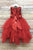 Stunning Multiple Tiered Skirt with Sequined Top Girl Dress 284