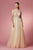 Embroidered Illusion Open Back Gown By Nox Anabel E1002