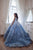 Ruffles Ombré  Ball Gown Princess Dress Celestial  3103