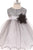 Sequin Top Layered Tulle Tricolor Baby Dress