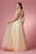Embroidered Illusion Open Back Gown By Nox Anabel E1002