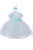 Lovely Silk Top Dress Tulle Skirt for Baby Girls