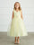 Delicate Glitter V Neckline Tulle Flower Girl Dress 5698