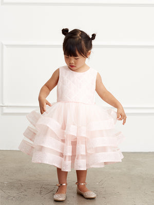 Ruffles Skirt Glitter Horse Hair  Flower Girl Dress  Blush 5829B