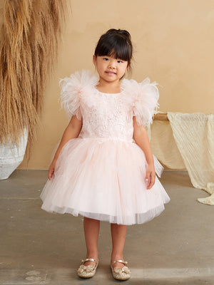 Baby Glitter Bodice with Lace Applique and Fluffy Sleeves 5848S