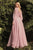 Classy Long Sleeves Chiffon Evening Dress CD0183