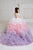 Birthday Girls Dresses