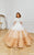 Ball Gown First Communion Dress 21122