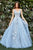 Dramatic V-Neckline Tulle Ball Gown Lilian  Andrea & Leo Couture A0893