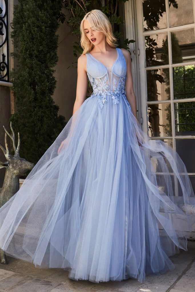 Beautiful tulle skirt dress with satin sheer bodice and butterfly