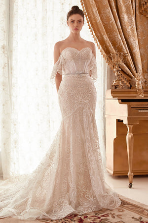 Cinderella Divine A1104W