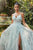 Andrea & Leo Couture A1145 Minted Opal Garden A-line Gown