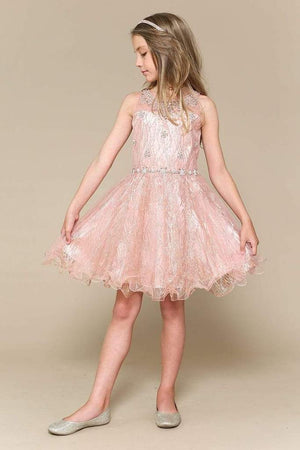 Short Dress Sleeveless Glittery Sweetheart  Flower Girl Special Occasions Dress C335