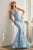 Strapless Butterfly Print Embellishment Mermaid Gown CB099