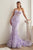 Strapless Butterfly Print Embellishment Mermaid Gown CB099