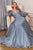 Classy Long Sleeves Chiffon Evening Dress CD0183