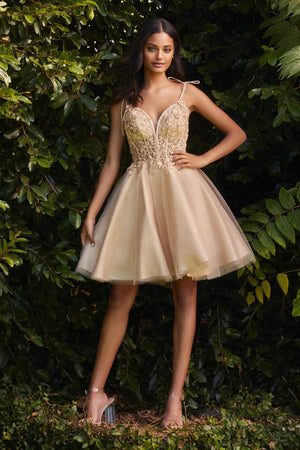 Short Tulle A-line Homecoming Dress CD0188