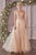 Plunging Neckline Embroidered Embellishment Layered Tulle Gown CD0195