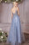 Plunging Neckline Embroidered Embellishment Layered Tulle Gown CD0195