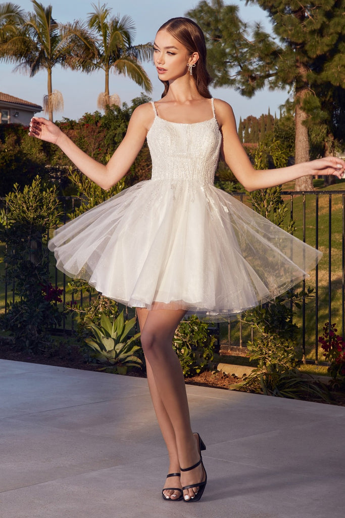 Fairy Tulle Skirt Lace Top Wedding Reception Dress,Short Homecoming Dress ,GDC1063