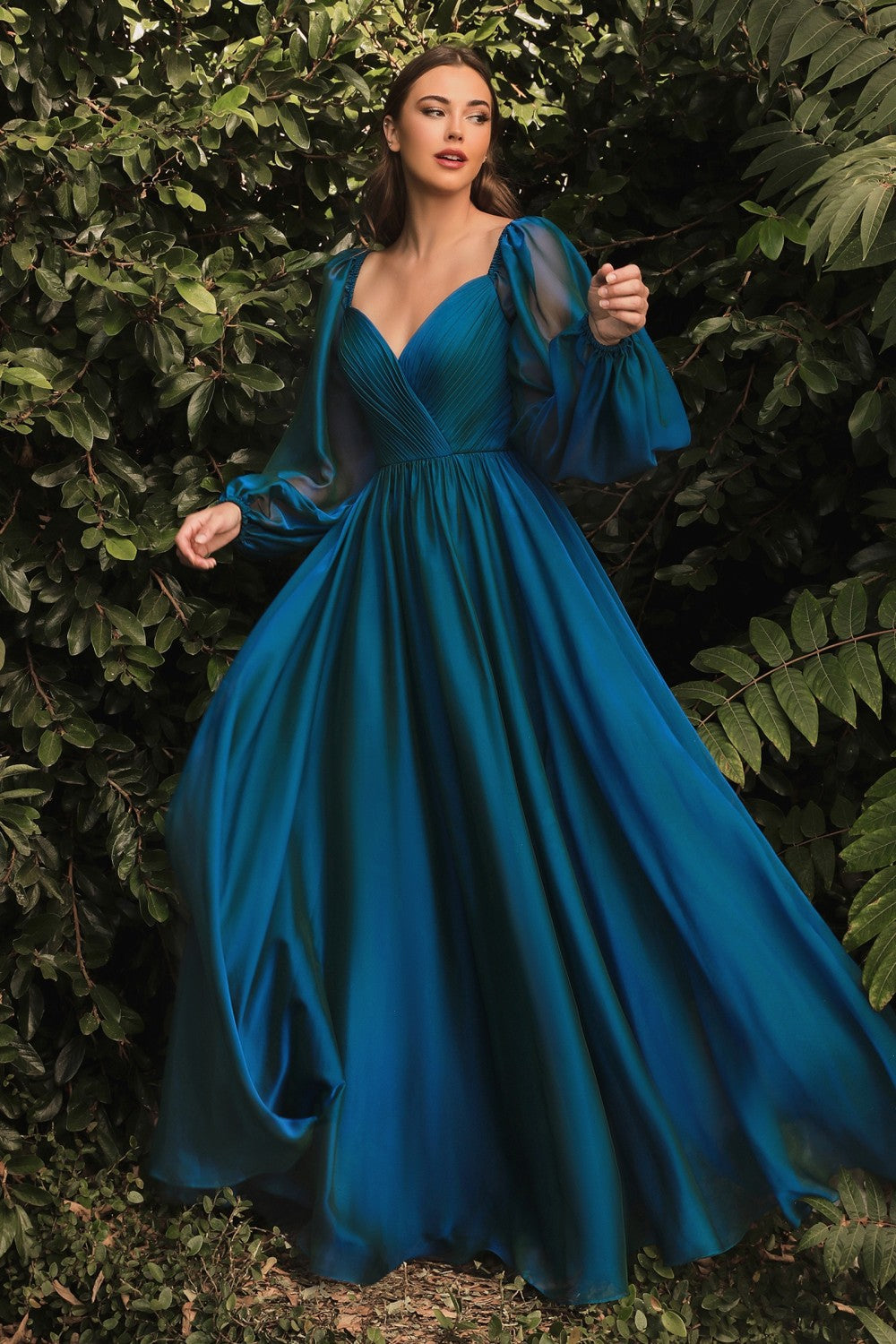 Long Sleeves Chiffon A-line Gown CD243 – Sparkly Gowns