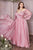 Long Sleeves Chiffon A-line Curves  Gown CD243C