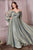 Long Sleeves Chiffon A-line Curves  Gown CD243C