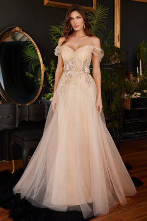 Flower Appliques A-Line Tulle Dress  CD3395