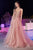 Plunging Neckline Embroidered Appliques Tulle Gown CD874