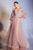 Long Sleeves evening dress