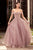 Off-Shoulder A-Line Floral Prom Dress CD961