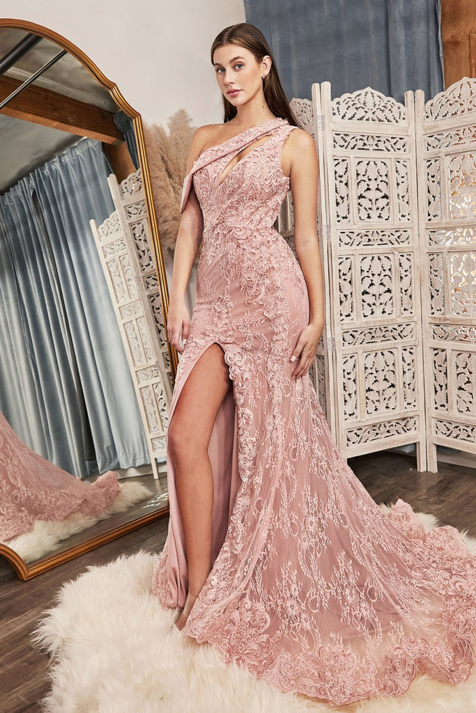 One Shoulder Lace Fitted Gown CD973
