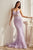 Plunging Neckline Embroidered Prom Gown CD992