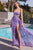 Iridescent Sequin Butterfly Appliques Prom Gown CD998