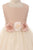 Poly Silk Two-Colors Dress Flower Girl Dress 428