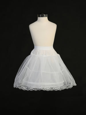 2-Hoops Wire Petticoat with Crinoline P9